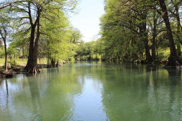 reflection of trees in the river water