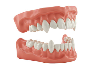 Obraz premium A set of dentures displayed against a solid black background