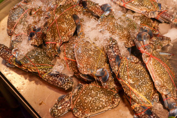 a pile of fresh blue swimming crabs displayed on ice at a seafood market. The crabs are bound with red and yellow rubber bands to keep their claws closed.