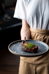 A talented chef presents a beautifully plated dish in a warm, inviting atmosphere. The carefully arranged food captures the essence of culinary artistry, perfect for food enthusiasts