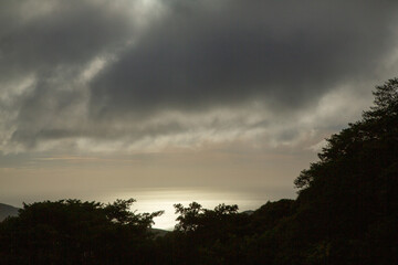 奄美大島の自然。