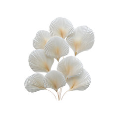 Dried Fan Palm Leaves Elegant Floral Design