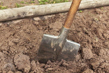 Digging up soil in garden. Shovel close up in brown ground on garden bed. Organic farming, gardening, growing, agriculture concept