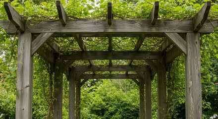Naklejka premium Wooden Pergola Structure with Green Vine Coverage Creating Natural Shade