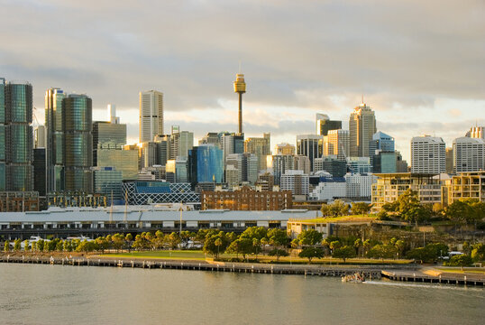A view of Sydney in the morning from White Bay