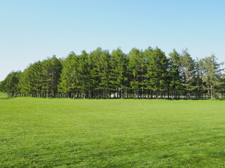 広い芝生の公園