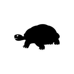 Turtle silhouette vector walking ahead