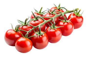 Vine of Ripe Red Cherry Tomatoes Isolated on a Transparent Background red tomatoes on the vine