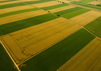 Agricultural fields aerial view