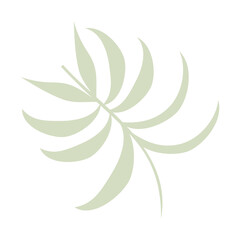 Modern Palm Leaf Abstract Silhouette in Soft Green Tones Isolated on Transparent Background
