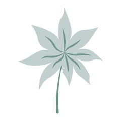 Star Shaped Decorative Leaf Silhouette Isolated on Transparent Background