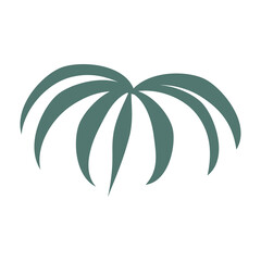 Tropical Palm Crown Leaf Silhouette Isolated on Transparent Background