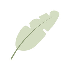 Banana Leaf Silhouette Flat Design Isolated on Transparent Background