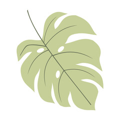 Minimalist Monstera Leaf Silhouette Illustration Isolated on Transparent Background