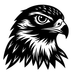 Obraz premium eagle head vector illustration