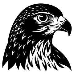 Obraz premium eagle vector illustration