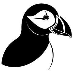 black and white shark vector illustration