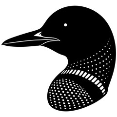 black and white duck
