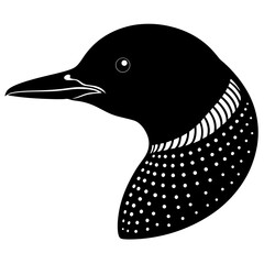 black and white duck