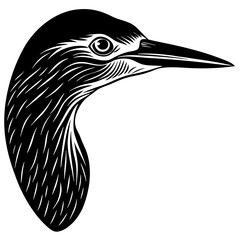 vector illustration of a bird