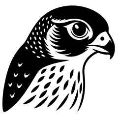 vector illustration of a bird