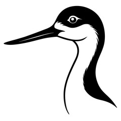 vector illustration of a pelican