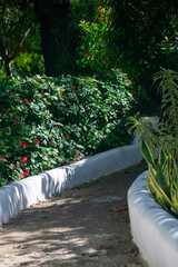 Outdoor Green Space