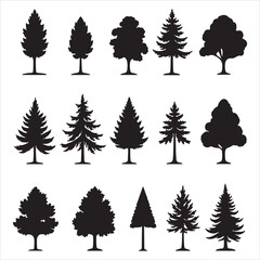 Obraz premium trees silhouettes on the white background