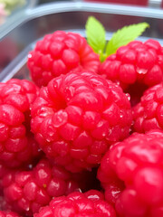 A close-up view of ripe, juicy raspberries with water droplets, presented in aplastic container.