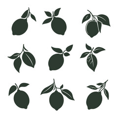 Set of Lemon Fruits with Leaves - Colorful Citrus Vector Icons