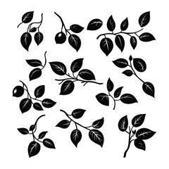 Set of Citrus Fruit Branches and Leaves Silhouettes Vector