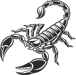 Detailed Black and White Scorpion Illustration