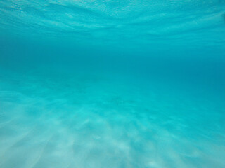 Under the waters surface