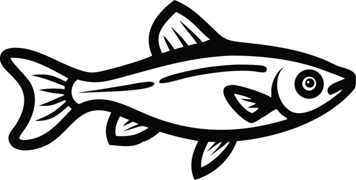 White cloud minnow fish illustration on white background