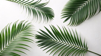Green palm leaves on white background flat lay top view.