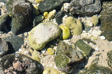 Rocks on the Beach
