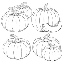 Vector line art collection of hand-drawn pumpkins. Ideal for autumn themes, Halloween, Thanksgiving, or natural food packaging. Includes sliced and whole pumpkins in detailed contour style.