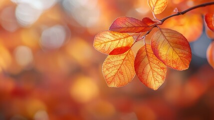 Obraz premium Vibrant Orange Leaves with Red Spots on Branch in Autumn Bokeh Background