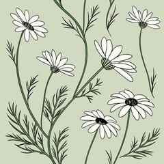 Chamomile Flower Seamless Minimal Botanical Pattern