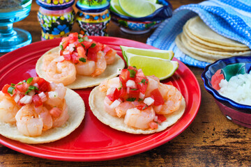 メキシコの美味しいタコス　エビのタコス（海老のタコス） サルサ・メヒカーナ（サルサメヒカーナ）を添えて コピースペースあり　Delicious Mexican tacos: Shrimp tacos, served with Salsa Mexicana, copy space available 