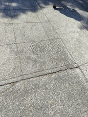 The shadow of a thin woman.,La sombra de una mujer delgada. (14).