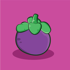 mangosteen Illustration