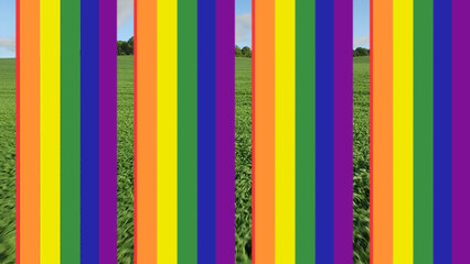 LGTBI Rainbow 5 Styles Horizontal Transitions 1 MOGRT  492