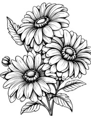 Black and white color pages