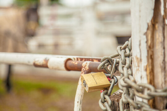 Gold lock and silver chain on a farm gate post