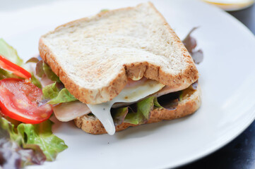 ham and cheese sandwich or egg sandwich with salad