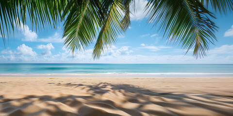 Tropical beach paradise Found, Beautiful beach with palms and turquoise sea and blue sky, tropical beaches 
