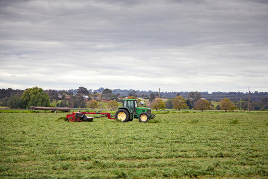 Green tractor pulling red slasher in lucerne paddock