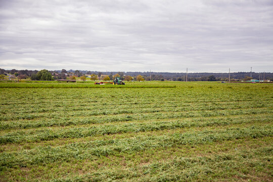 Green tractor pulling red slasher in lucerne paddock