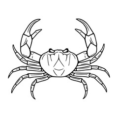 sea crab outline vector
